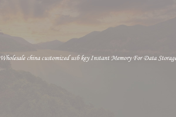 Wholesale china customized usb key Instant Memory For Data Storage