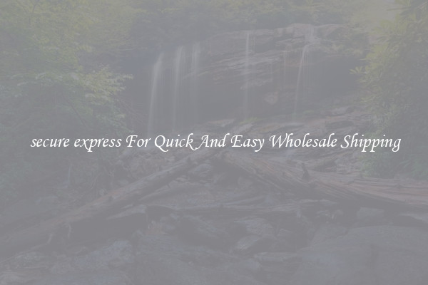 secure express For Quick And Easy Wholesale Shipping