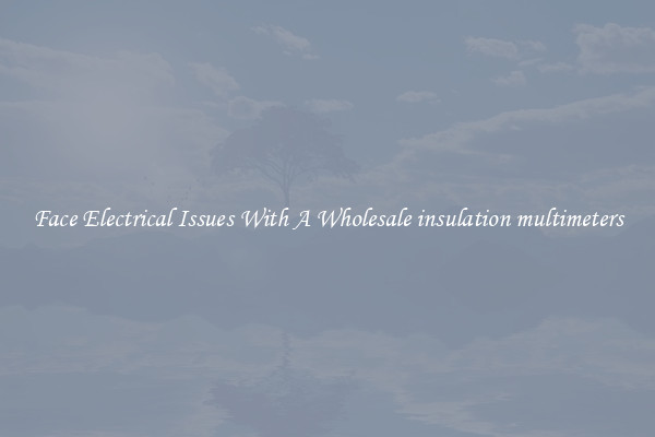 Face Electrical Issues With A Wholesale insulation multimeters