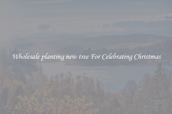 Wholesale planting new tree For Celebrating Christmas