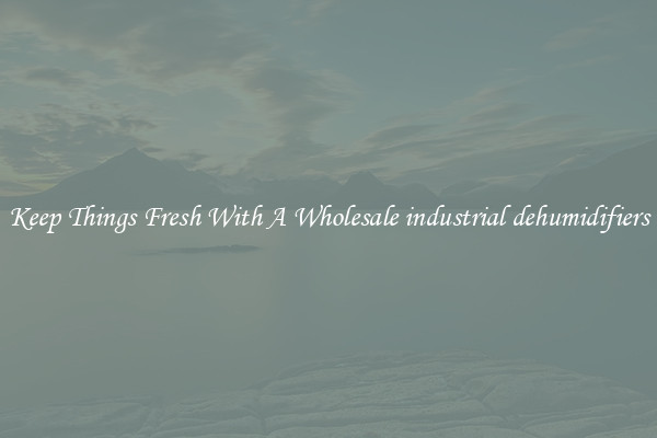 Keep Things Fresh With A Wholesale industrial dehumidifiers