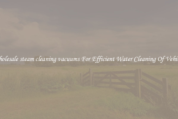 Wholesale steam cleaning vacuums For Efficient Water Cleaning Of Vehicles