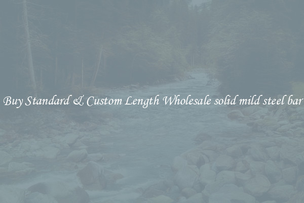 Buy Standard & Custom Length Wholesale solid mild steel bar