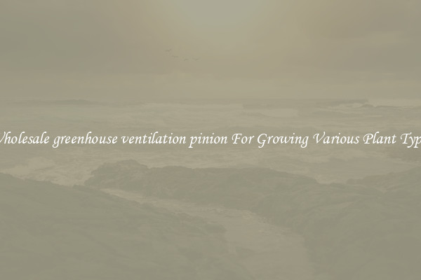 Wholesale greenhouse ventilation pinion For Growing Various Plant Types