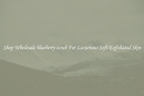 Shop Wholesale blueberry scrub For Luxurious Soft Exfoliated Skin