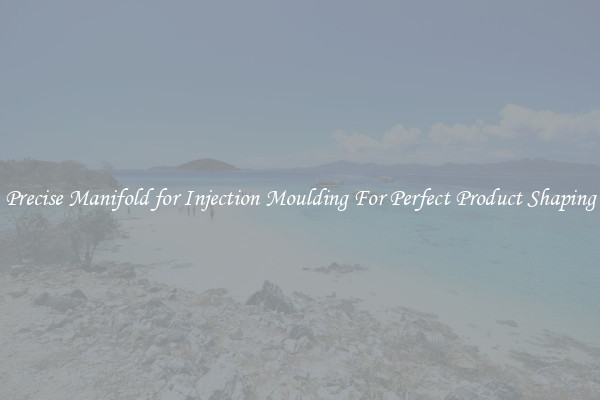 Precise Manifold for Injection Moulding For Perfect Product Shaping