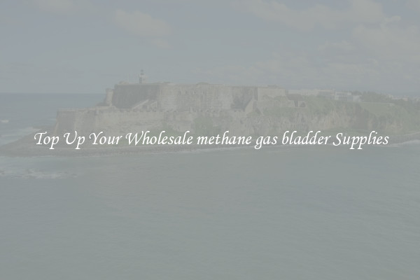 Top Up Your Wholesale methane gas bladder Supplies