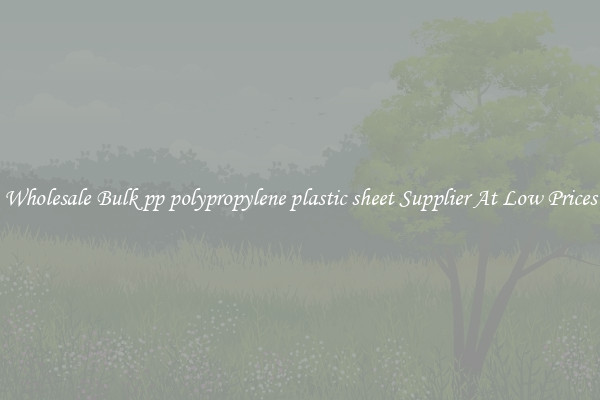Wholesale Bulk pp polypropylene plastic sheet Supplier At Low Prices