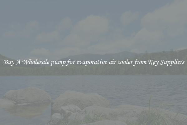 Buy A Wholesale pump for evaporative air cooler from Key Suppliers