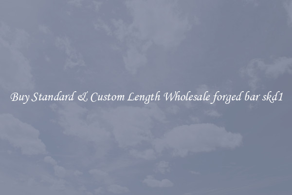 Buy Standard & Custom Length Wholesale forged bar skd1