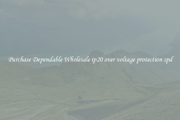 Purchase Dependable Wholesale ip20 over voltage protection spd