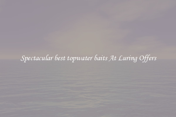Spectacular best topwater baits At Luring Offers