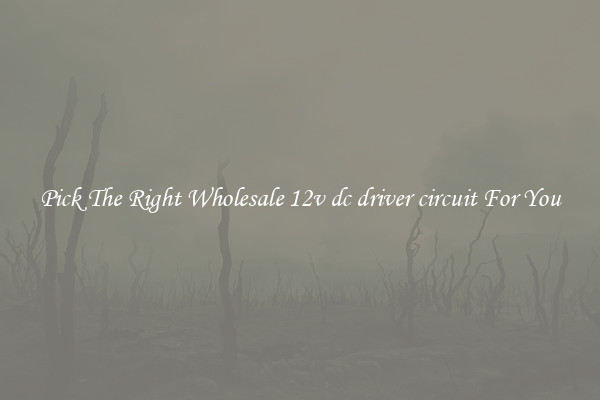 Pick The Right Wholesale 12v dc driver circuit For You