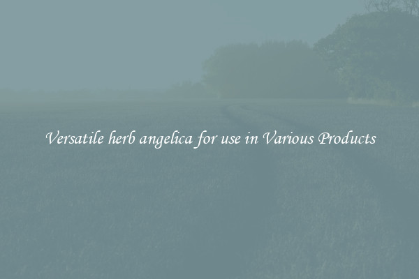 Versatile herb angelica for use in Various Products