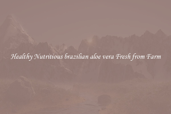 Healthy Nutritious brazilian aloe vera Fresh from Farm