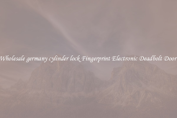 Wholesale germany cylinder lock Fingerprint Electronic Deadbolt Door 