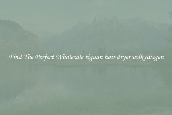 Find The Perfect Wholesale tiguan hair dryer volkswagen