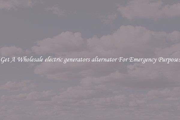 Get A Wholesale electric generators alternator For Emergency Purposes